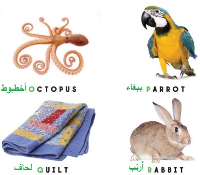 صور وأسماء